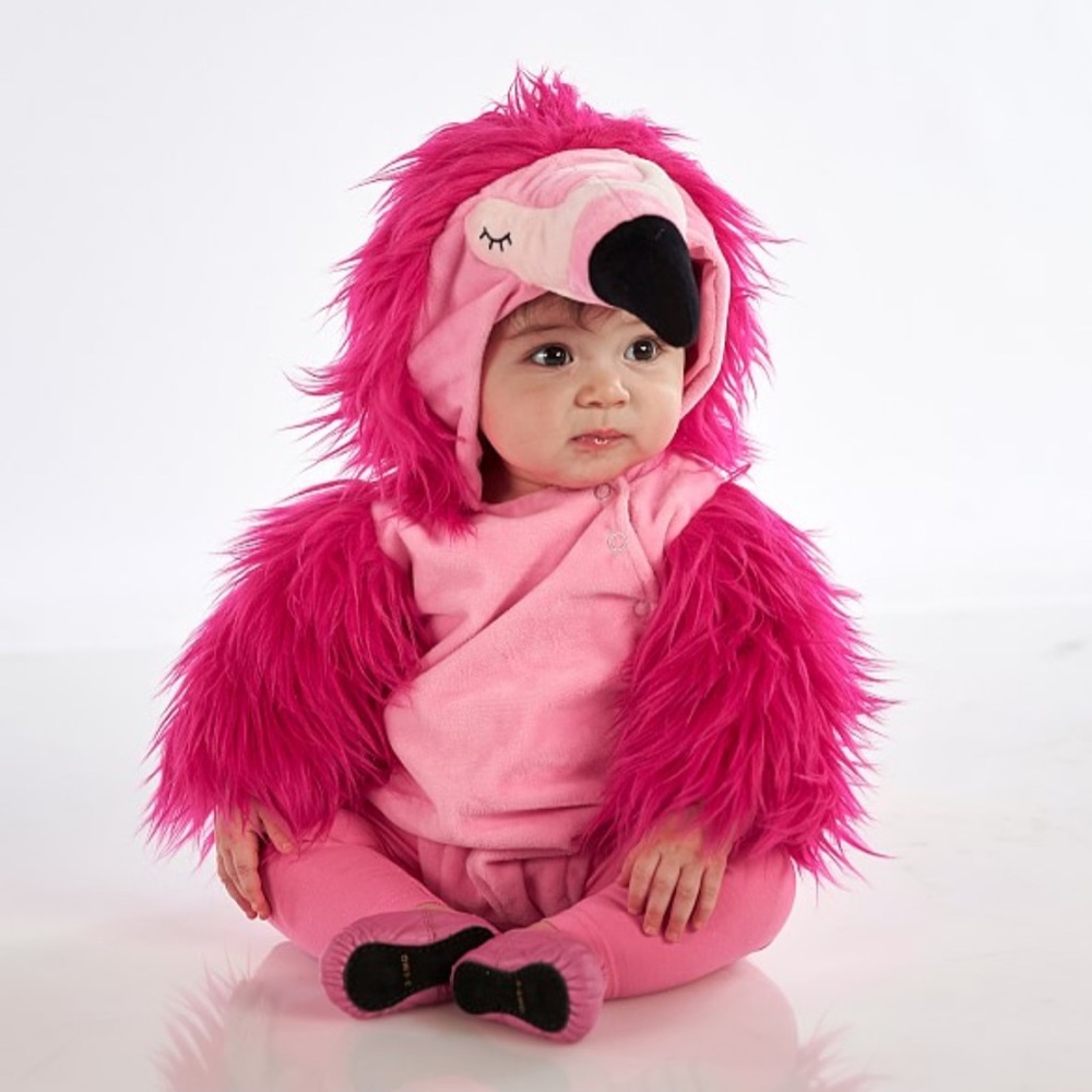 Pottery Barn Flamingo Costume